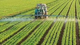 О применении пестицидов для борьбы с грызунами
