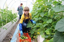 Первые выпускники «Агрошколы» получили работу на сельхозпредприятиях края